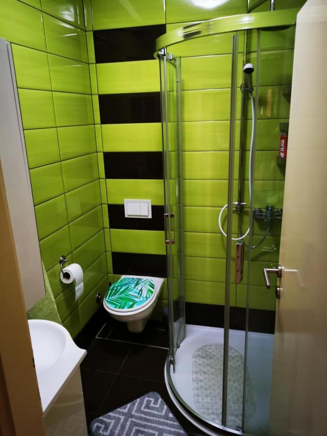 Appartement Apartmant Sandra - Big Terace And Free Parking à Karlovac Extérieur photo
