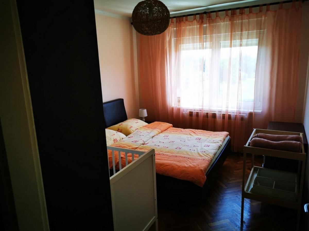 Appartement Apartmant Sandra - Big Terace And Free Parking à Karlovac Extérieur photo