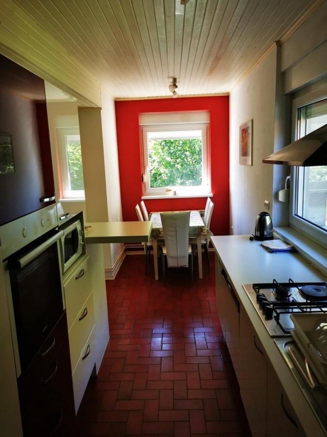 Appartement Apartmant Sandra - Big Terace And Free Parking à Karlovac Extérieur photo
