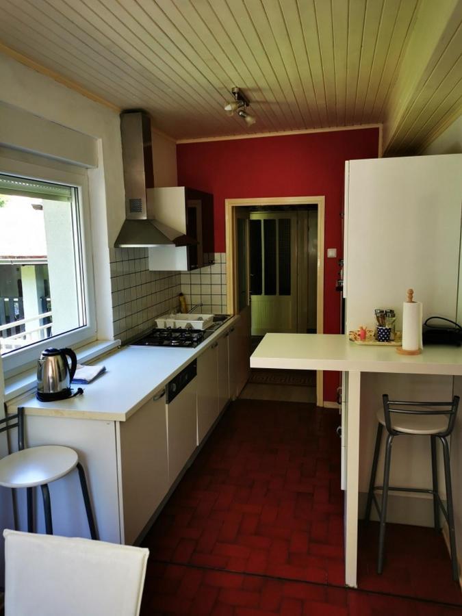 Appartement Apartmant Sandra - Big Terace And Free Parking à Karlovac Extérieur photo